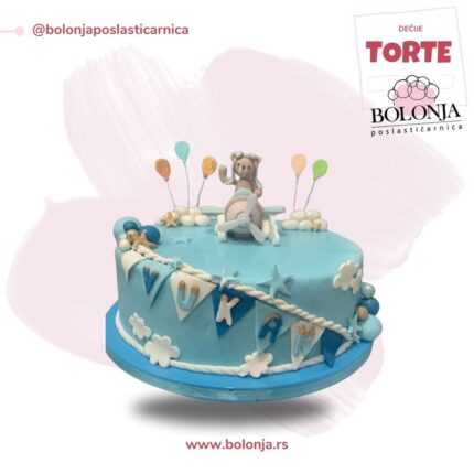 Torta medvedic avion